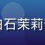 读者番号收藏家_K的头像，对白石茉莉奈番号资料库给出正面评价的用户